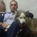 Zorba from Landskrona | Man | 50 years old | Sagittarius
