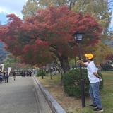 Japer16I from Hiroshima-shi | Man | 39 years old | Capricorn