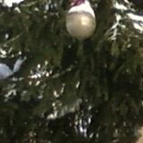 Бар from Orekhovo-Zuyevo | Man | 32 years old | Sagittarius
