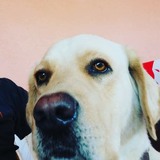Gonzalezreyepm from Santa Maria Xadani | Man | 35 years old | Scorpio