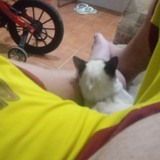 Jardelsaqdj from Silva Jardim | Man | 42 years old | Sagittarius