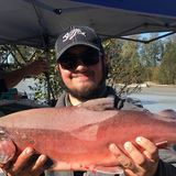 Conman from Idaho Falls | Man | 29 years old | Scorpio