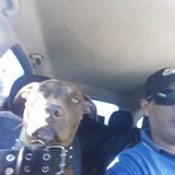 Em74Mv from Santa Elena | Man | 42 years old | Sagittarius