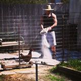 Oren from La Porte | Man | 27 years old | Capricorn