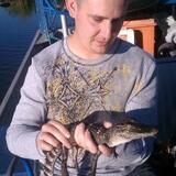 Dakota from Oswego | Man | 31 years old | Capricorn