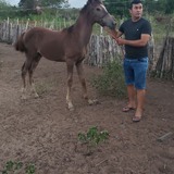 Macielsilva2Ap from Crateus | Man | 30 years old | Aries