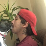 Silva from Springfield | Man | 29 years old | Sagittarius